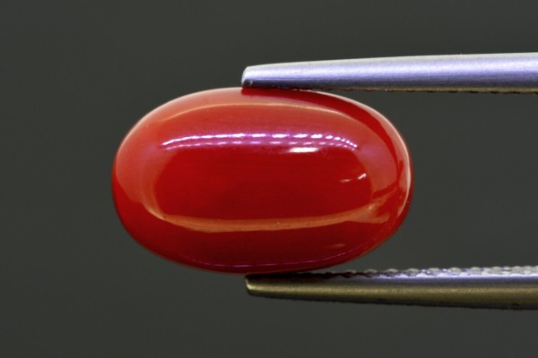 4.84 cts Natural Coral (Moonga)