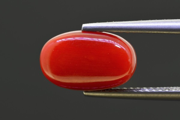 4.84 cts Natural Coral (Moonga)