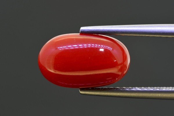 4.56 cts Natural Coral (Moonga)