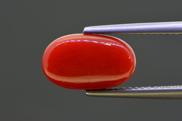 4.56 cts Natural Coral (Moonga)