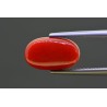 4.56 cts Natural Coral (Moonga)