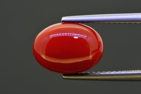 4.95 cts Natural Coral (Moonga)