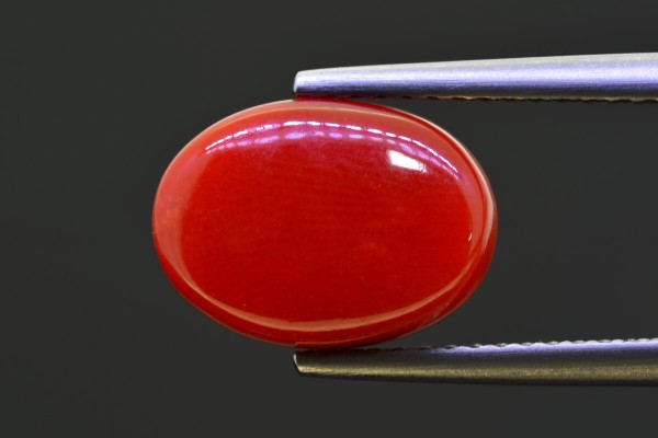 4.95 cts Natural Coral (Moonga)