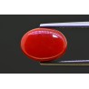 4.95 cts Natural Coral (Moonga)