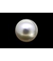 4.16 cts Natural Pearl (Moti)