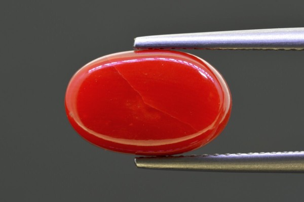 4.89 cts Natural Coral (Moonga)