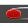4.89 cts Natural Coral (Moonga)