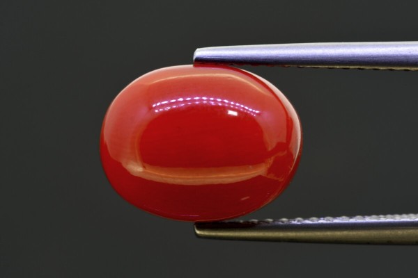 5.81 cts Natural Coral (Moonga)