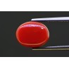5.81 cts Natural Coral (Moonga)