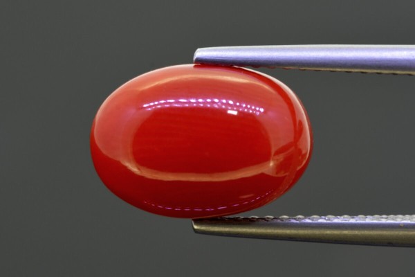 5.52 cts Natural Coral (Moonga)