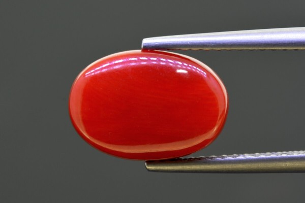 5.52 cts Natural Coral (Moonga)
