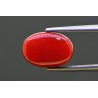 5.52 cts Natural Coral (Moonga)