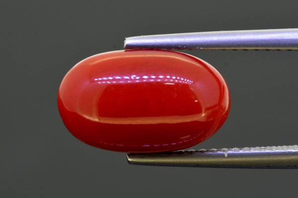 5.81 cts Natural Coral (Moonga)