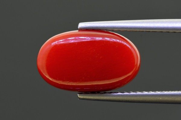 5.81 cts Natural Coral (Moonga)