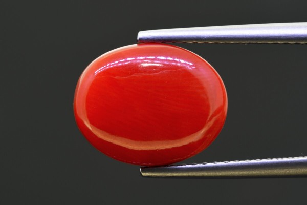5.94 cts Natural Coral (Moonga)