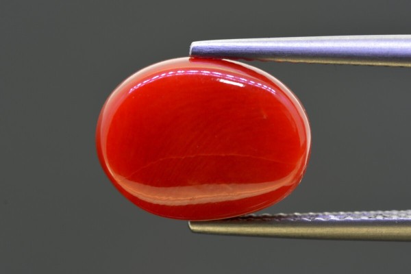 5.93 cts Natural Coral (Moonga)