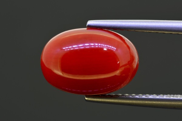5.24 cts Natural Coral (Moonga)