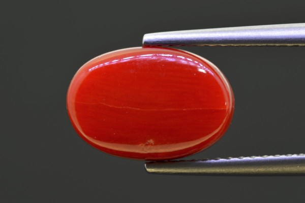 5.24 cts Natural Coral (Moonga)