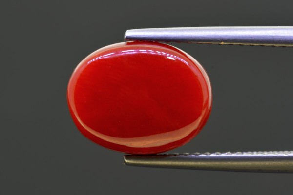 5.82 cts Natural Coral (Moonga)