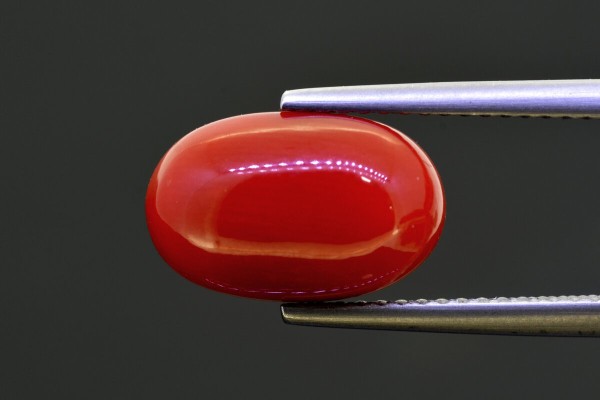 5.28 cts Natural Coral (Moonga)