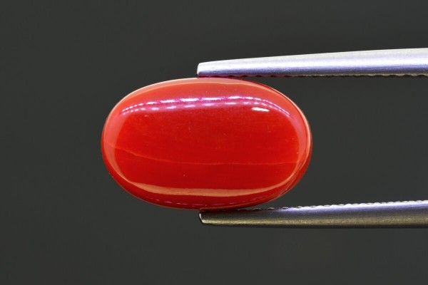 5.28 cts Natural Coral (Moonga)