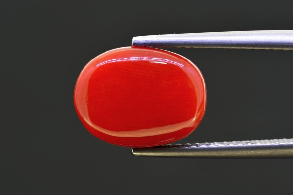5.54 cts Natural Coral (Moonga)