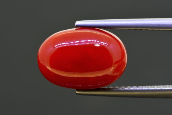 6.02 cts Natural Coral (Moonga)