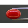 6.02 cts Natural Coral (Moonga)