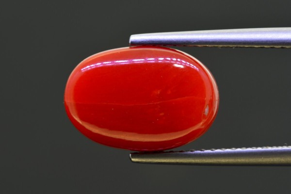 6.02 cts Natural Coral (Moonga)