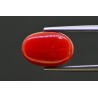 6.02 cts Natural Coral (Moonga)