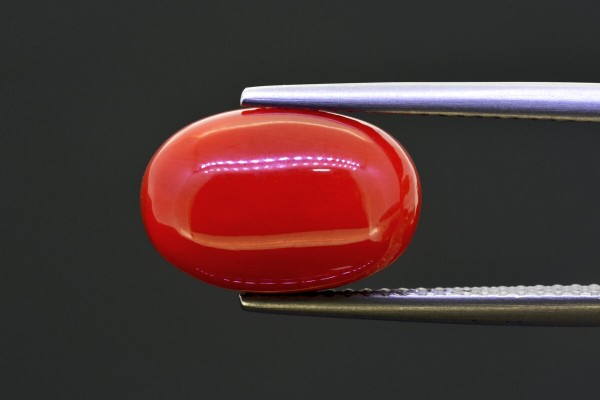 6.59 cts Natural Coral (Moonga)