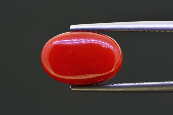 6.59 cts Natural Coral (Moonga)