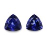 3.4 cts Natural Tanzanite - Earring Pair