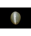 3.87 cts Natural Cats Eye (Lehsunia)