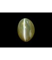 3.24 cts Natural Cats Eye (Lehsunia)