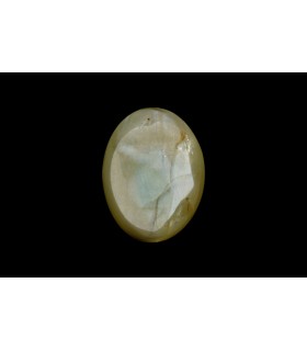 3.24 cts Natural Cats Eye - Lehsunia (SKU:90152436)