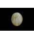 3.79 cts Natural Cats Eye - Lehsunia (SKU:90152443)