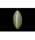 3.61 cts Natural Cats Eye (Lehsunia)