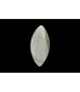 3.61 cts Natural Cats Eye - Lehsunia (SKU:90152467)