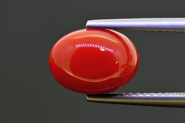 4.10 cts Natural Coral (Moonga)