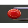 4.10 cts Natural Coral (Moonga)