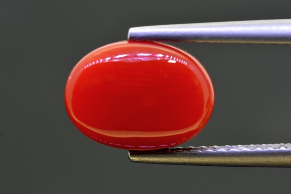 4.10 cts Natural Coral (Moonga)