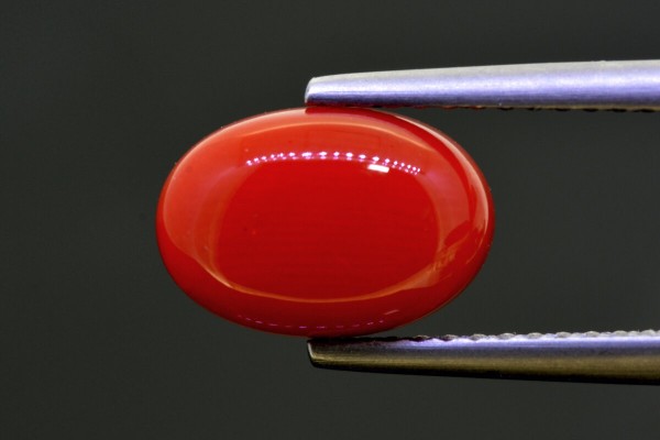 2.97 cts Natural Coral (Moonga)