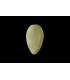 2.91 cts Natural Cats Eye - Lehsunia (SKU:90152528)
