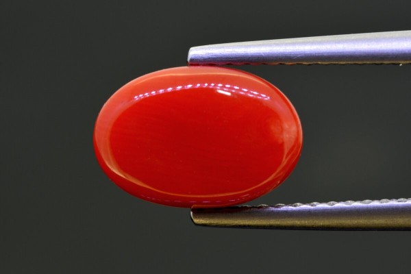 2.97 cts Natural Coral (Moonga)
