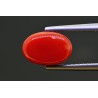 2.97 cts Natural Coral (Moonga)