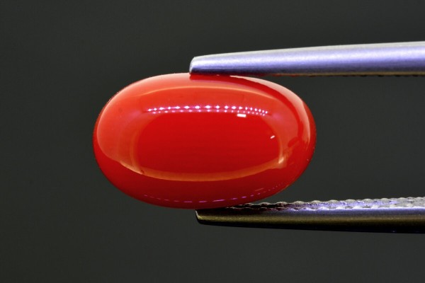 3.16 cts Natural Coral (Moonga)