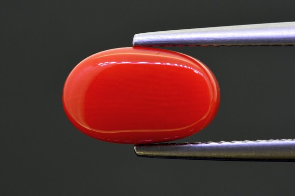 3.16 cts Natural Coral (Moonga)