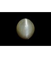 3.14 cts Natural Cats Eye (Lehsunia)