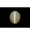 3.37 cts Natural Cats Eye (Lehsunia)